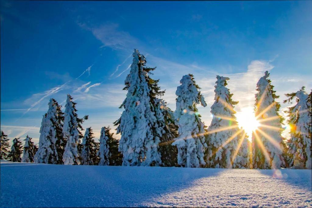 Meadows Apartments Klinovec Loučná pod Klínovcem Bagian luar foto