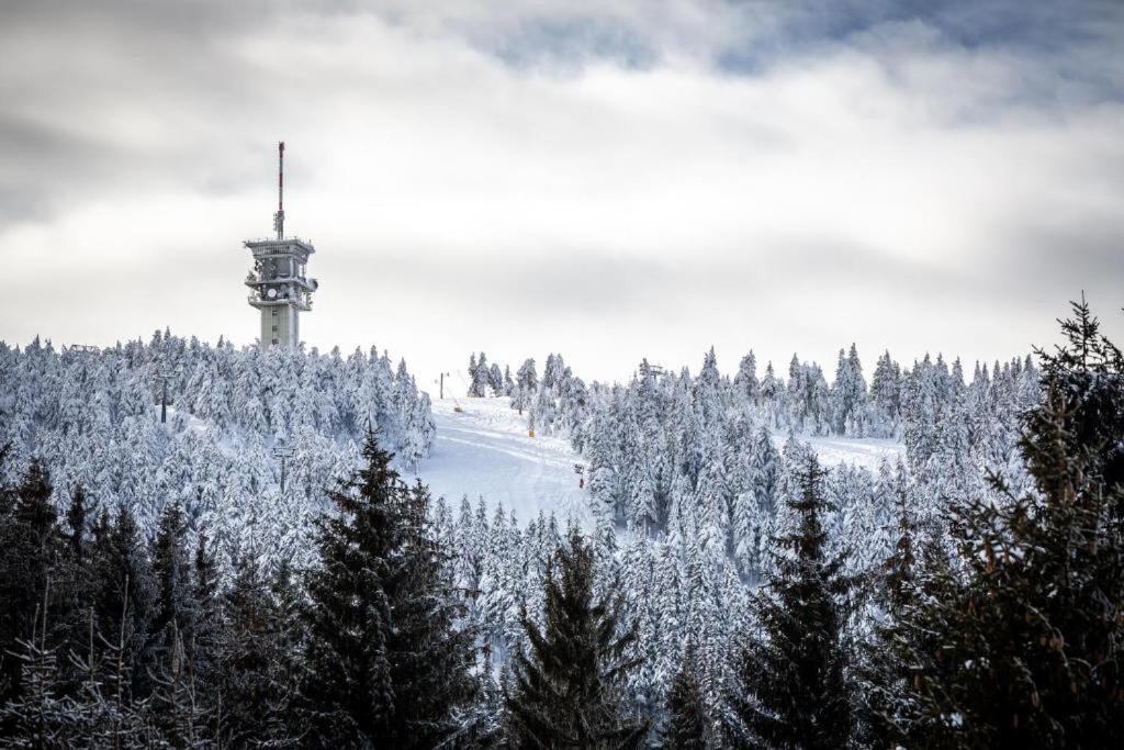 Meadows Apartments Klinovec Loučná pod Klínovcem Bagian luar foto