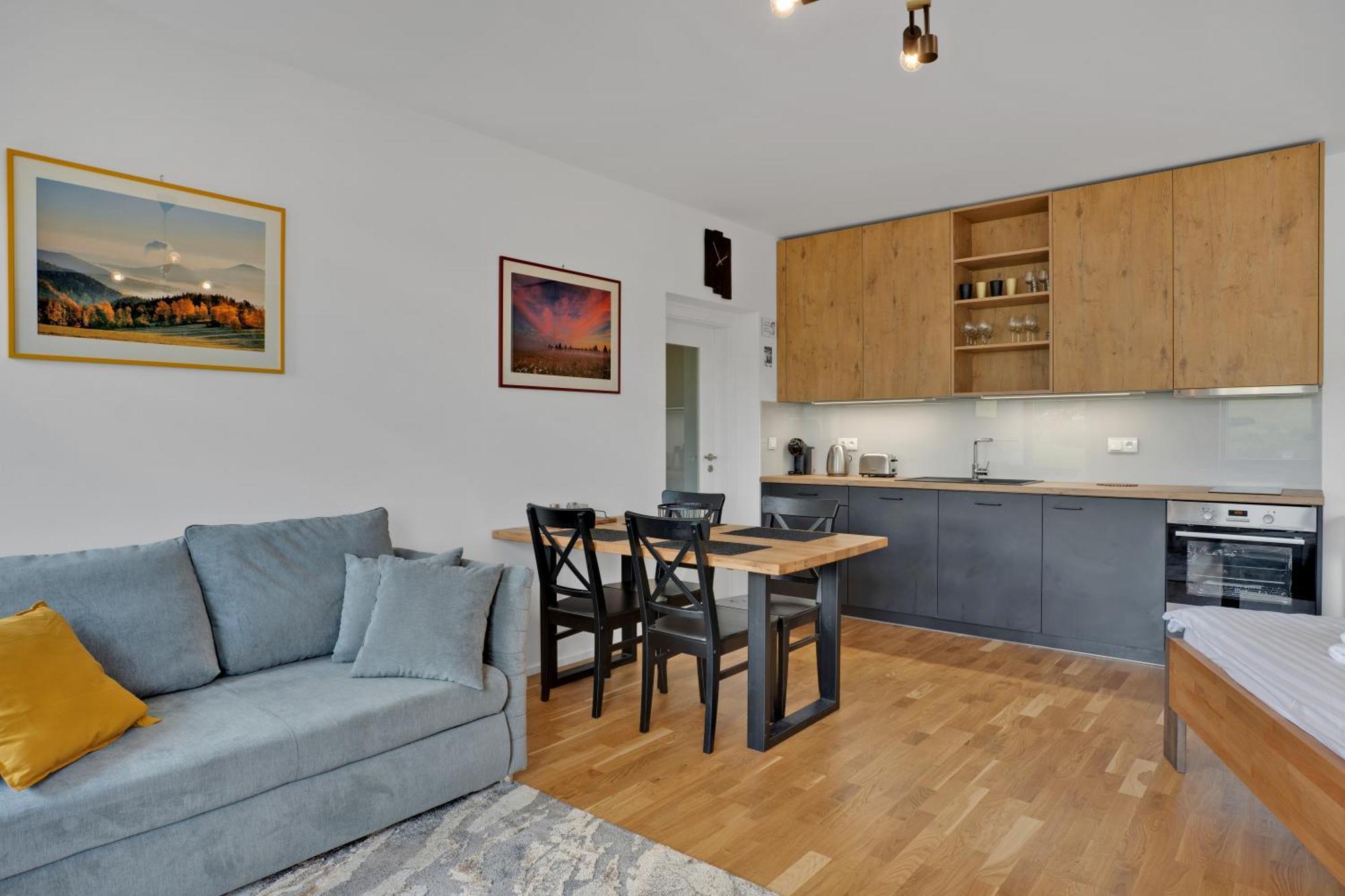 Meadows Apartments Klinovec Loučná pod Klínovcem Bagian luar foto