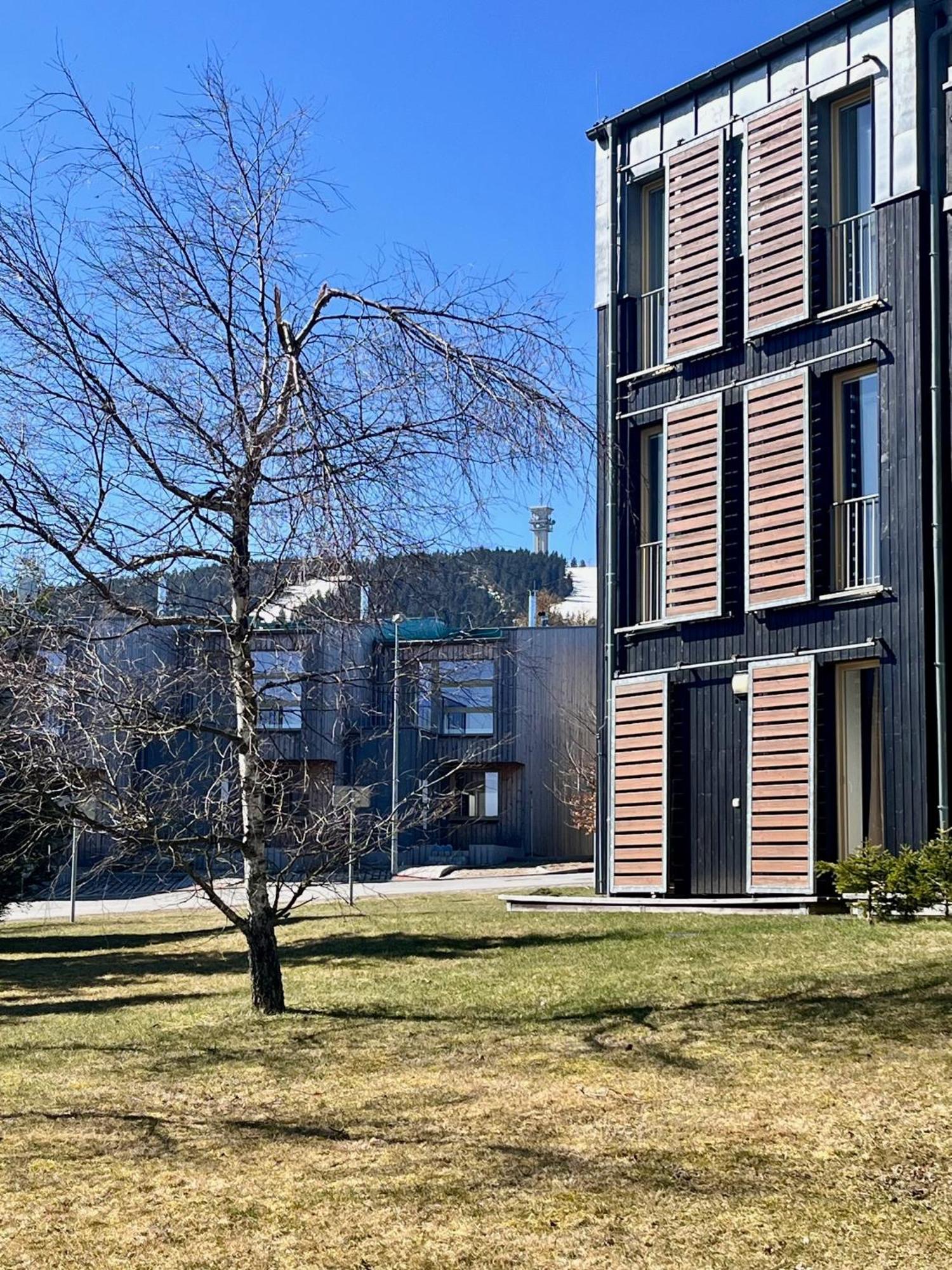 Meadows Apartments Klinovec Loučná pod Klínovcem Bagian luar foto